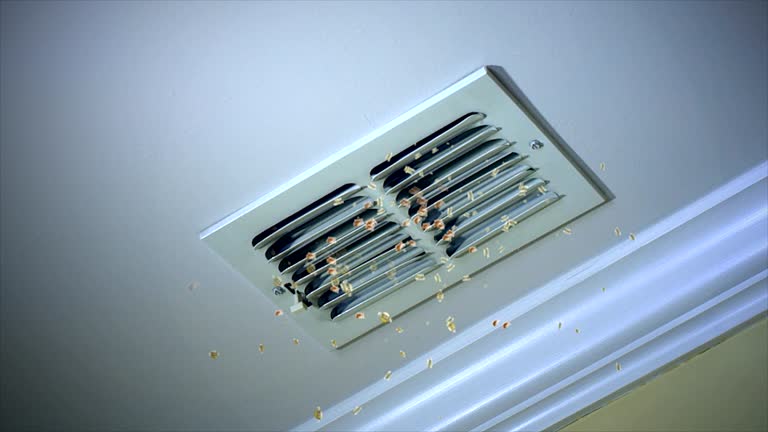 Best Commercial Air Duct Cleaning  in Monroe, MI