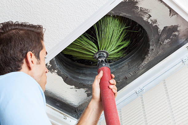 Best Affordable Air Duct Cleaning  in Monroe, MI